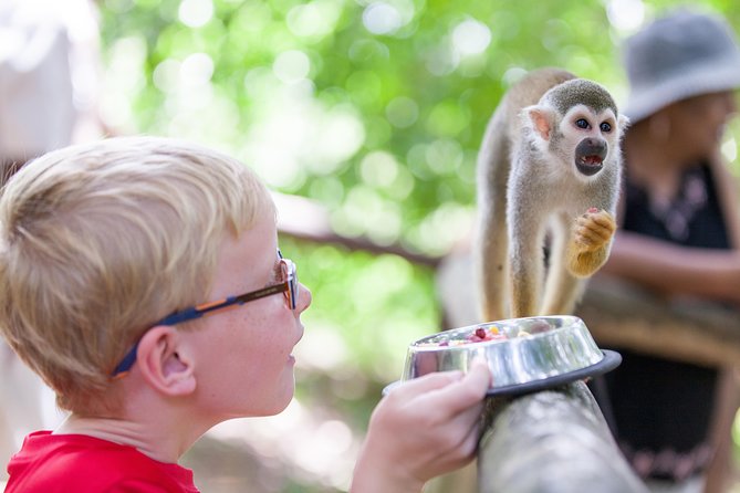 Monkeyland and Zipline Adventure from Puerto Plata - A jungle day with two very different highlights