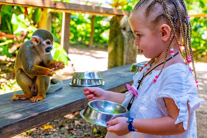 Monkeyland & Plantation Safari Full Day from Juan Dolio - Key points to know before you book