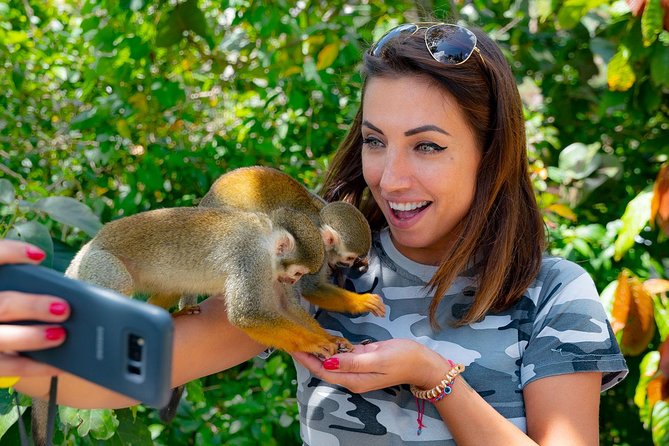 Monkeyland & Plantation Safari Full Day from Juan Dolio - A country home gives the day its local footing