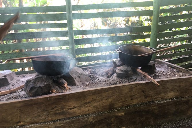 Monkeyland & Plantation Safari Full Day from Juan Dolio - What the day may feel like from Juan Dolio