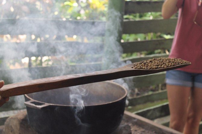 Monkeyland & Plantation Safari Full Day from Juan Dolio - Lunch needs a clear answer before departure