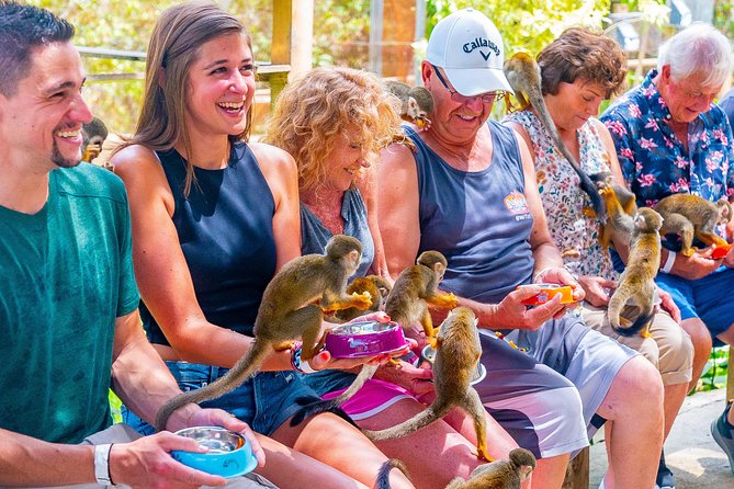 Monkeyland Puerto Plata - Monkeyland: close contact, limited freedom