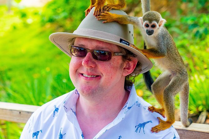 Monkeyland Puerto Plata - Who will enjoy this most?