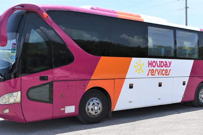 Montego Bay Airport (MBJ) Transfer One-Way or Round-Trip to Hotel - Booking, cancellation, and small practical details