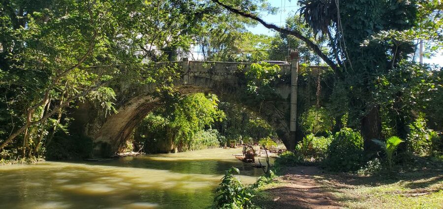 Montego Bay: Bamboo Raft Cruise on the Great River - Who will enjoy this Great River outing