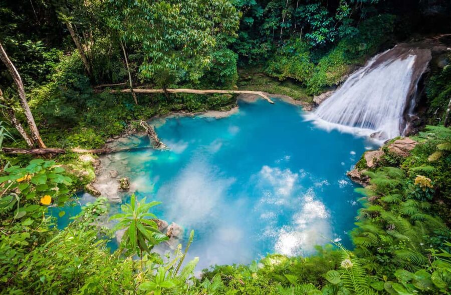 Montego Bay: Blue Hole, Dunn’s River, and Beach Club Trip - Blue Hole Starts the Day With Real Water Action