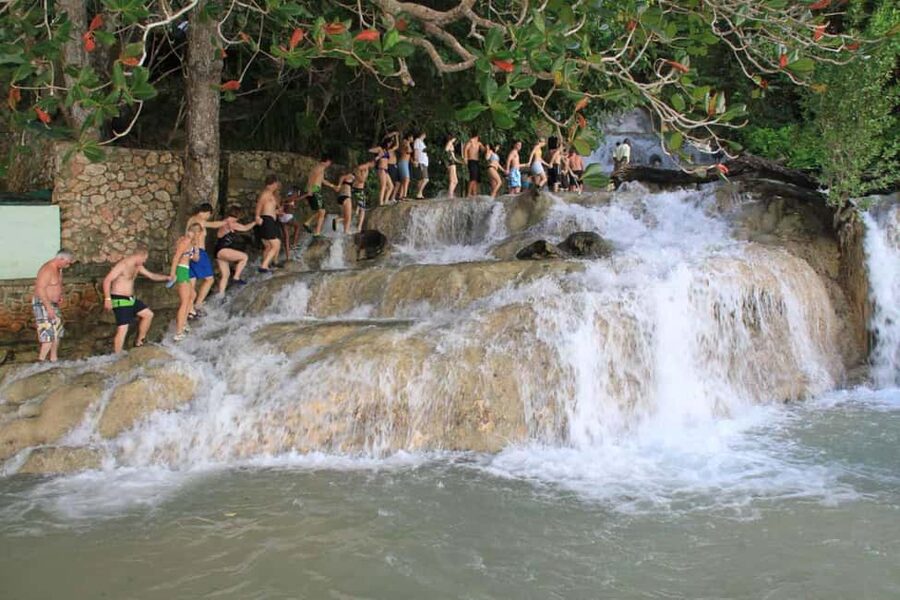 Montego Bay: Blue Hole, Dunn’s River, and Beach Club Trip - Transport and Pickup Need Attention