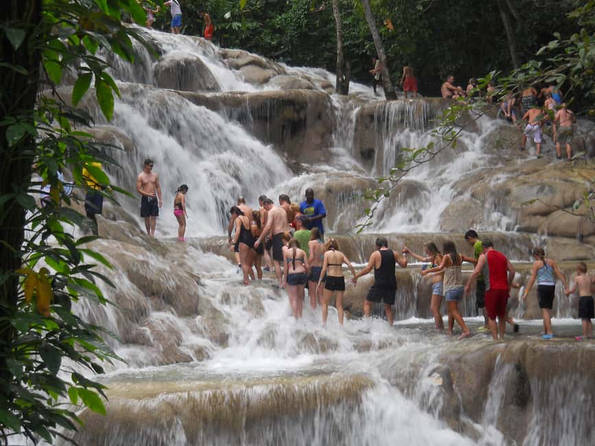 Montego Bay: Blue Hole, Dunn’s River, and Beach Club Trip - Who Will Enjoy This Day Most
