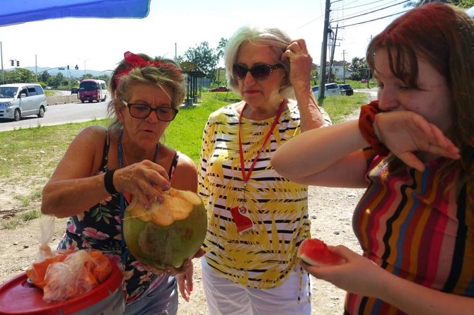 Montego Bay hi lite and culture tour - Who will get the most from this tour