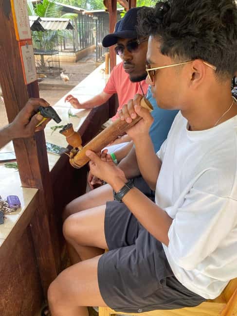Montego Bay: Marijuana Farm and Bird Sanctuary Tour - Key points at a glance