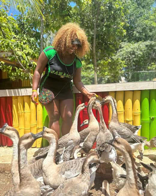 Montego Bay: Marijuana Farm and Bird Sanctuary Tour - Should you book it?