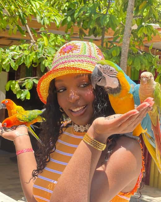 Montego Bay: Marijuana Farm and Bird Sanctuary Tour - The bird sanctuary and close contact with exotic birds