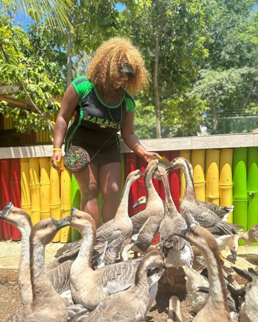 Montego Bay: Marijuana Farm and Bird Sanctuary Tour - What the price means for value