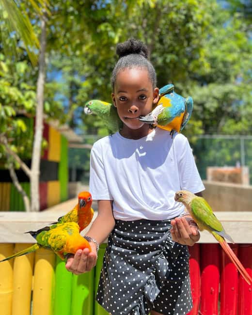 Montego Bay: Marijuana Farm and Bird Sanctuary Tour - Who should book this Montego Bay outing?