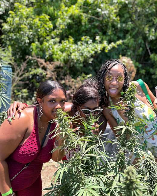 Montego Bay: Marijuana Farm and Bird Sanctuary Tour - The hotel pickup and the short ride