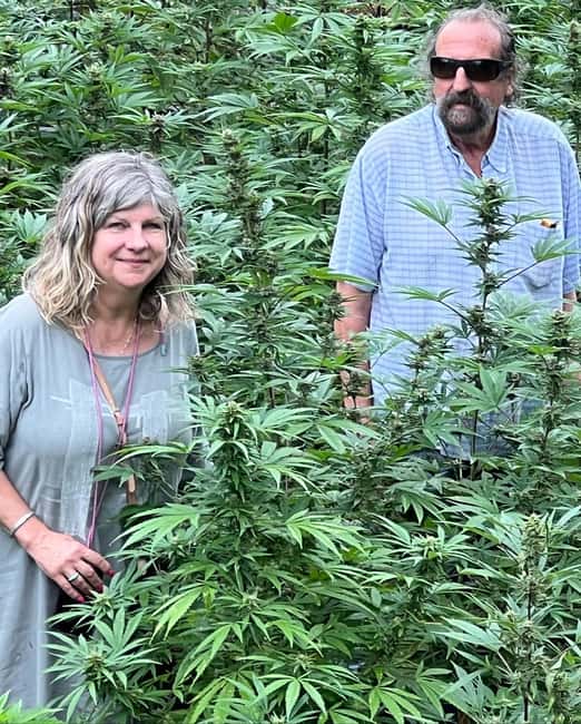 Montego Bay: Marijuana Farm Private Tour with Transportation - A farm visit, not just a smoke stop