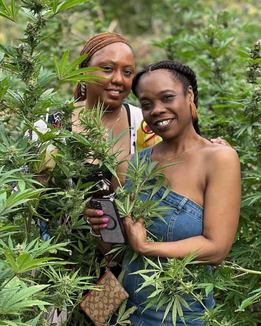 Montego Bay: Marijuana Farm Private Tour with Transportation - Sampling flowers, extracts, and infused products
