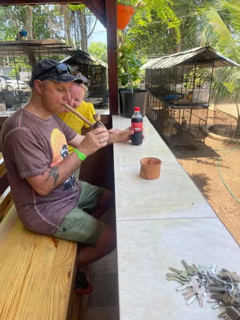 Montego Bay: Marijuana Farm Private Tour with Transportation - What the cultural discussion does well