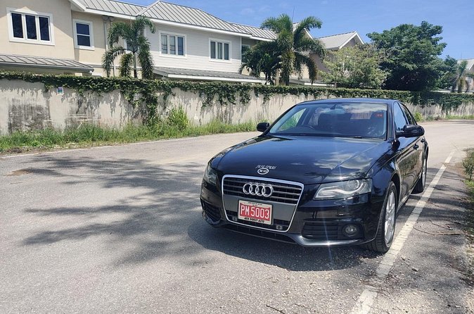 Montego Bay Private Airport Transfer - Who Should Book This Transfer