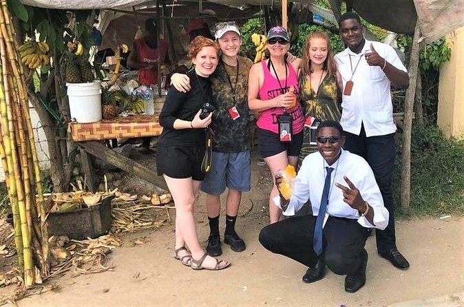 Montego Bay Private and Customized Highlights Day Tour - Pickup, vehicle, and cruise-port details