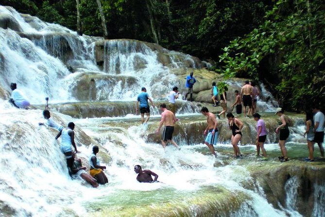 Montego Bay to Dunn's River Falls Half-Day Trip - The waterfall climb is worth the effort