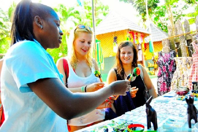 Montego Bay to Dunn's River Falls Half-Day Trip - A small group does not mean a private waterfall