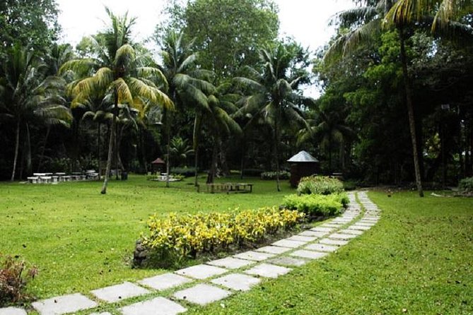 Montego Bay to Dunn's River Falls Half-Day Trip - The real price is more than $75
