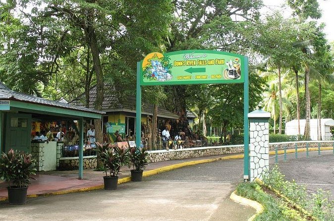 Montego Bay to Dunn's River Falls Half-Day Trip - Who should book the Dunn’s River Falls trip