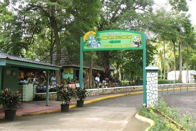Montego Bay to Dunn's River Falls Half-Day Trip - Booking and pickup details that matter