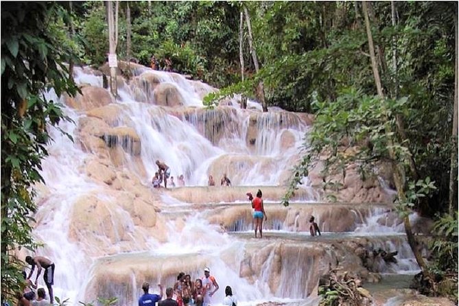 Montego Bay to Dunn's River Falls Half-Day Trip - What the Montego Bay ride adds, and what it costs