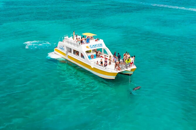 Morning Half Day Cruise from Providenciales with Snorkeling and Iguana Island - Why this half-day cruise works so well
