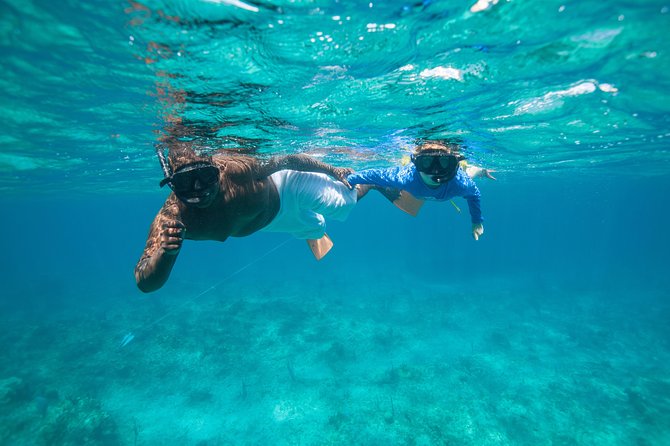 Morning Half Day Cruise from Providenciales with Snorkeling and Iguana Island - Snorkeling over coral and tropical fish