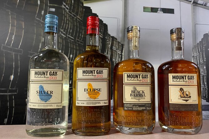 Mount Gay Signature Rum Tasting Experience - Timing, age rules, and practical planning