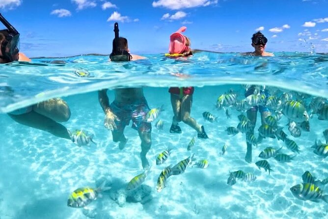 Nassau: 3 islands Pigs,Turtles,Snorkel & Beach Club with lunch - Four memorable stops in one half-day