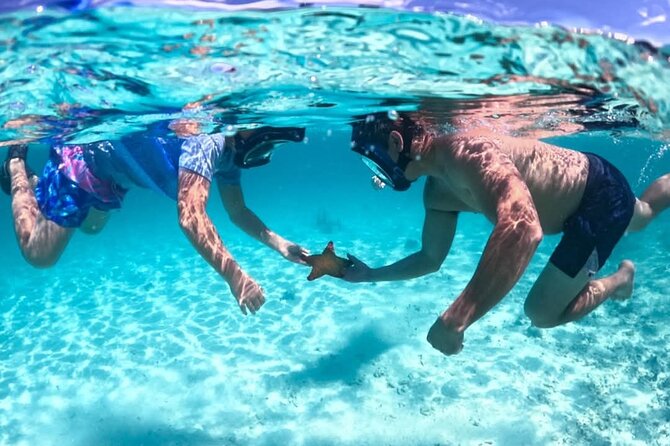Nassau: 3 islands Pigs,Turtles,Snorkel & Beach Club with lunch - What this Nassau boat trip is really trying to do