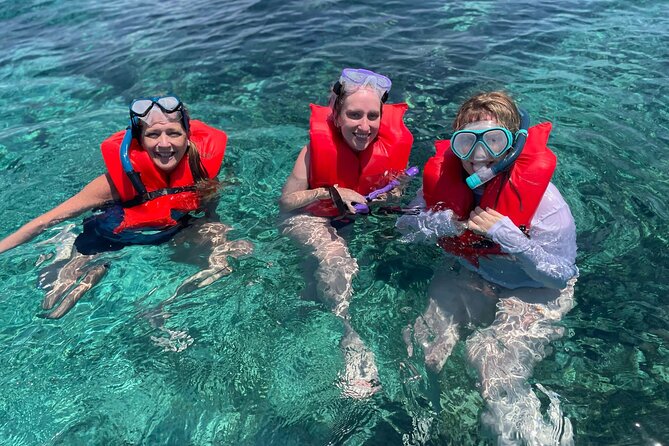 Nassau: 3 islands Pigs,Turtles,Snorkel & Beach Club with lunch - Green Turtle Cay brings the best wildlife moment