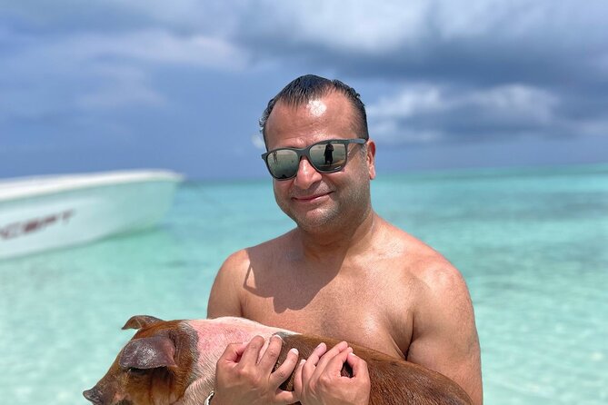 Nassau: 3 islands Pigs,Turtles,Snorkel & Beach Club with lunch - Timing matters for cruise passengers