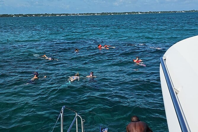 Nassau 3-stops: Snorkeling, Swimming Pigs, Turtles & Lunch - Pig Beach and the Extra Cost of the Encounter