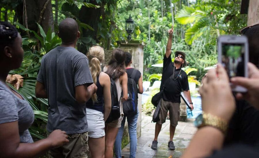 Nassau: Bites and Sites Food and Cultural Walking Tour - First tastes of Bahamian comfort food