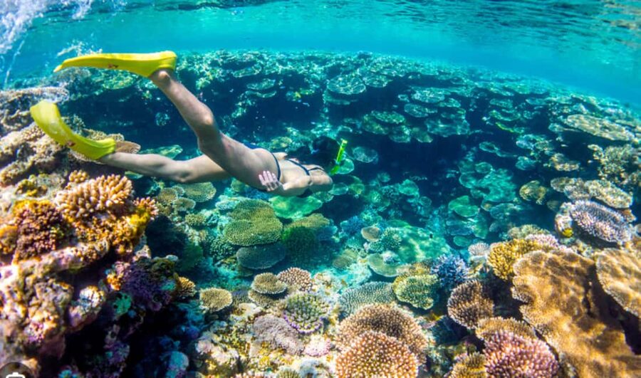Nassau: Catamaran Sail and Snorkel Tour - Should you book the catamaran sail and snorkel tour?