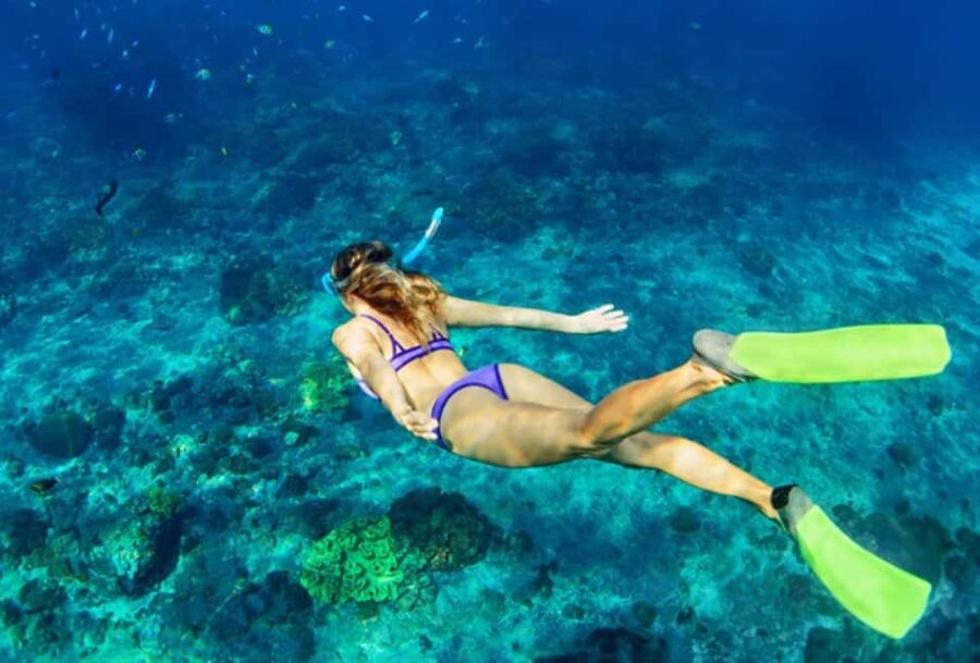 Nassau: Catamaran Sail and Snorkel Tour - A catamaran ride across clear Bahamian water