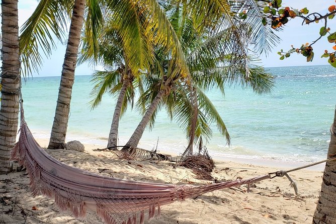 Nassau City Tour: 7 Attractions in the Bahamas - John Watling’s Distillery and the tasting stops
