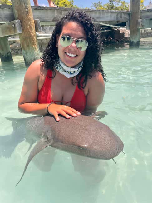 Nassau: Discover Exuma Island Hopping and Swimming Pigs Tour - Key points to know before you book