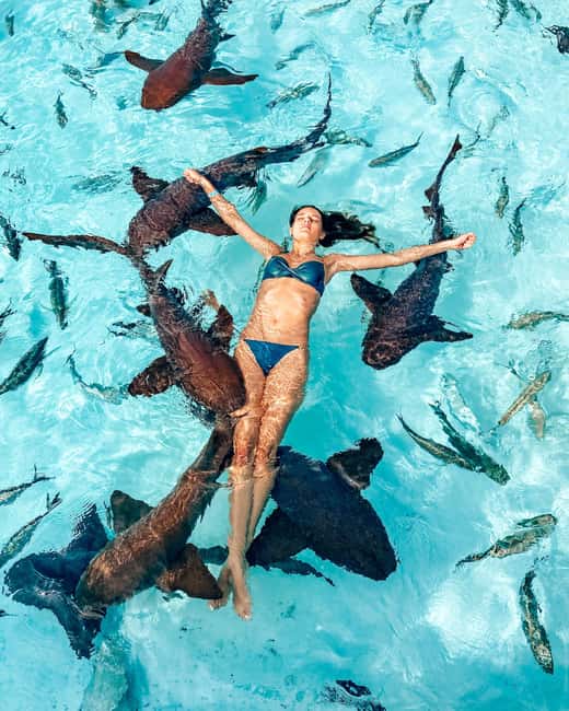 Nassau: Discover Exuma Island Hopping and Swimming Pigs Tour - Big Major’s Cay and the swimming pigs