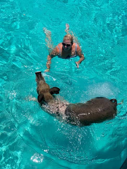 Nassau: Discover Exuma Island Hopping and Swimming Pigs Tour - Lunch at a local Exuma restaurant