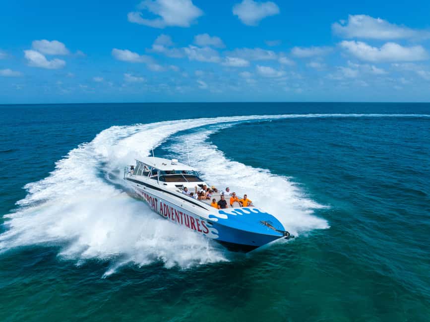 Nassau: Exuma Powerboat Day Trip - Stingrays offer close contact without a long swim