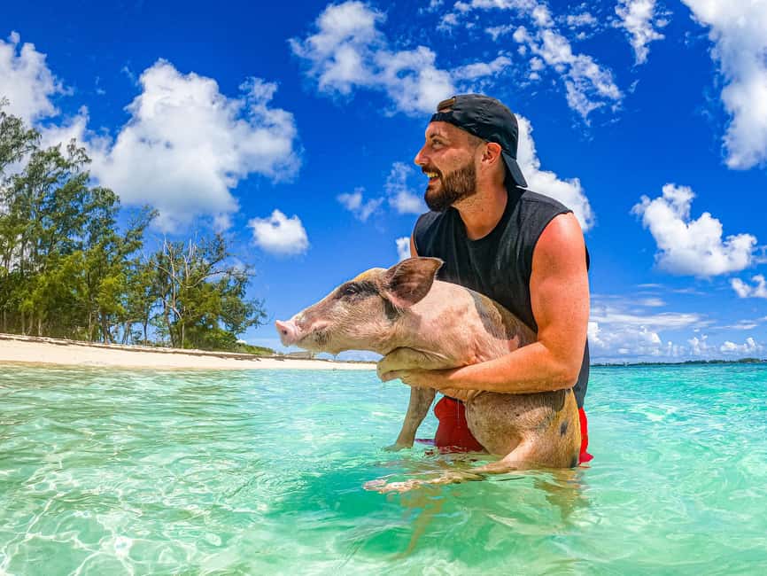 Nassau: Pigs Beach Trip by Boat with Swimming and Feeding - Meeting SunCay near Nassau Cruise Port