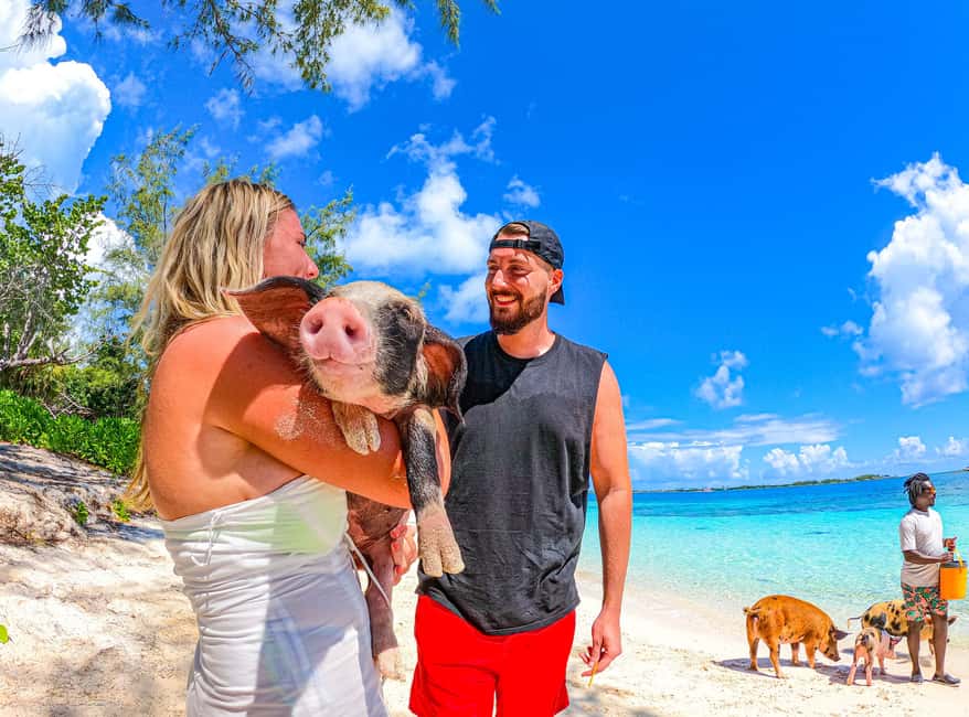 Nassau: Pigs Beach Trip by Boat with Swimming and Feeding - The Pearl Island stop after the pigs