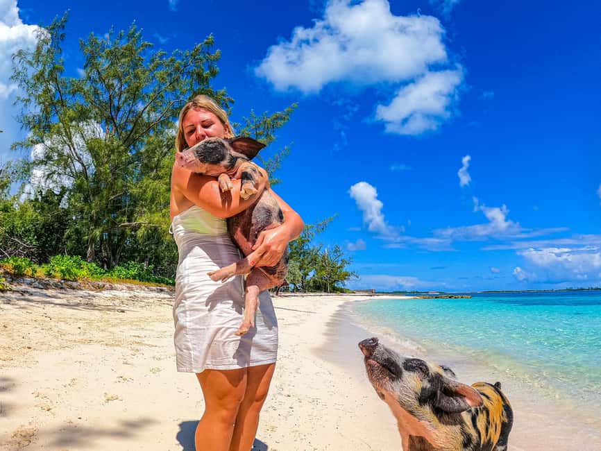 Nassau: Pigs Beach Trip by Boat with Swimming and Feeding - What the $79 price includes