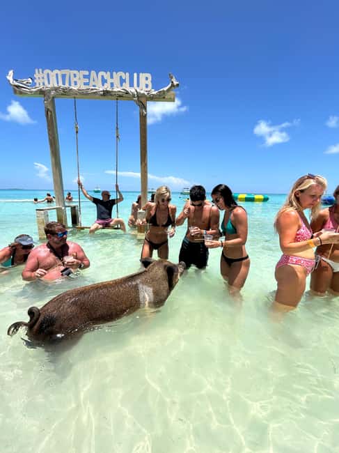 Nassau: Pigs, Snorkel, Turtles, Lunch, Private Beach Club - Key points at a glance